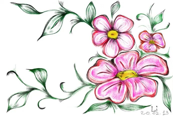 300 рисунков цветов для срисовки