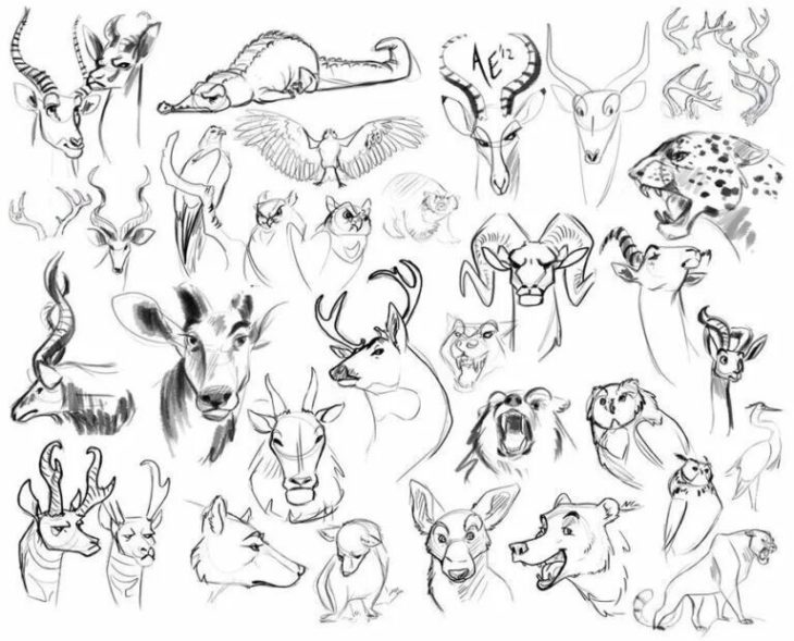 200 картинок животных для срисовки
