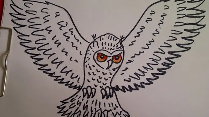 200 рисунков совы для срисовки