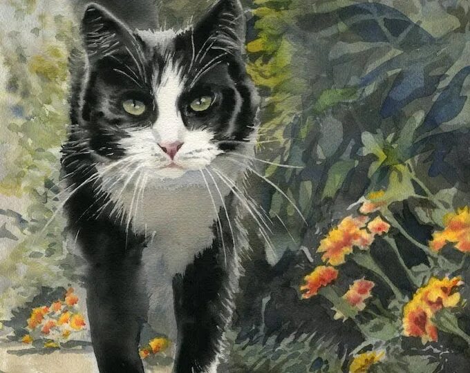 200 картинок кошек для срисовки