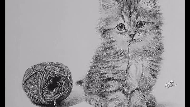 200 картинок котят для срисовки