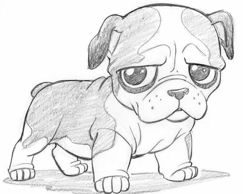 How to Draw a Puppy Envato Tuts+